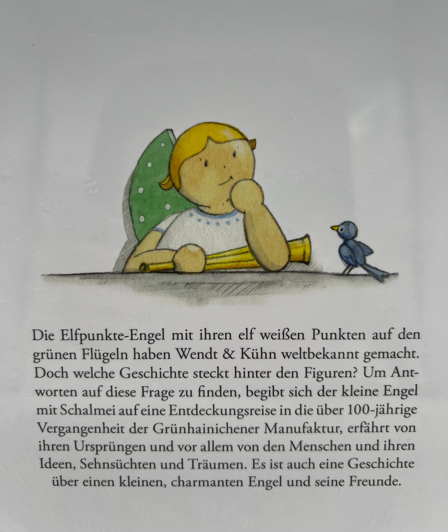 Buch "Wie alles begann - Die wundervolle Zeitreise der Elfpunkte-Engel"